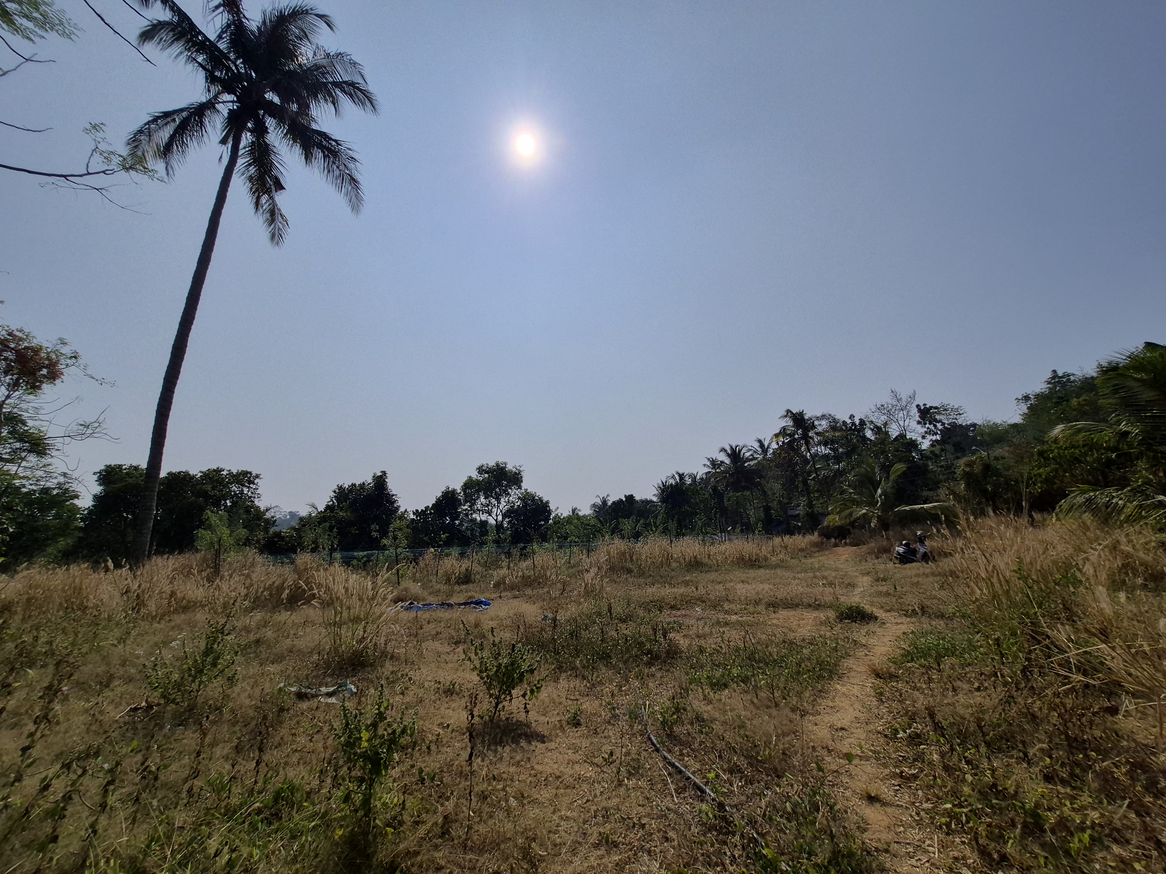 PUTHOOR ZOOLOGICAL PARK NEAR | LAND FOR SALE | LOW BUDGET 