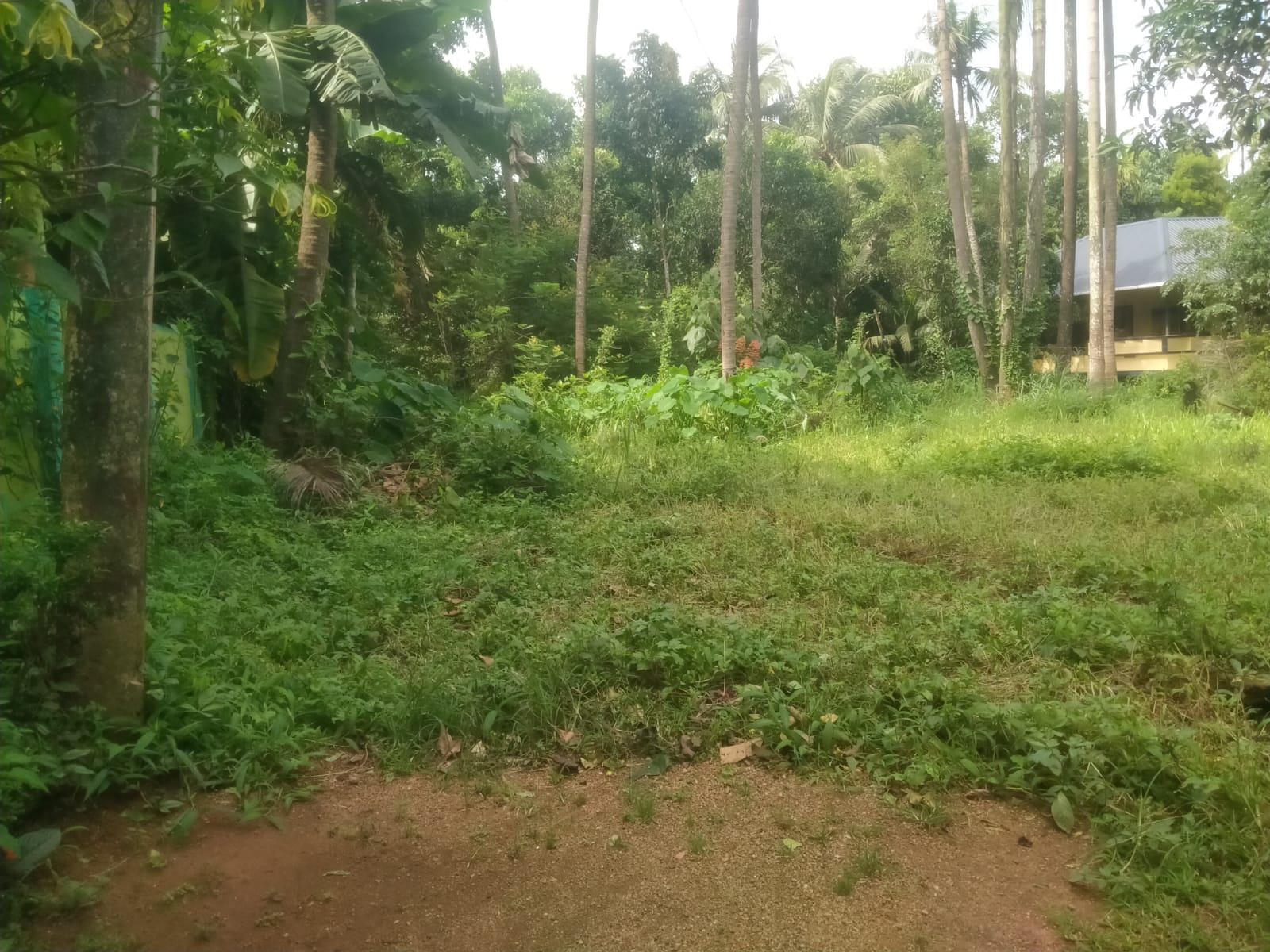 Small Image
