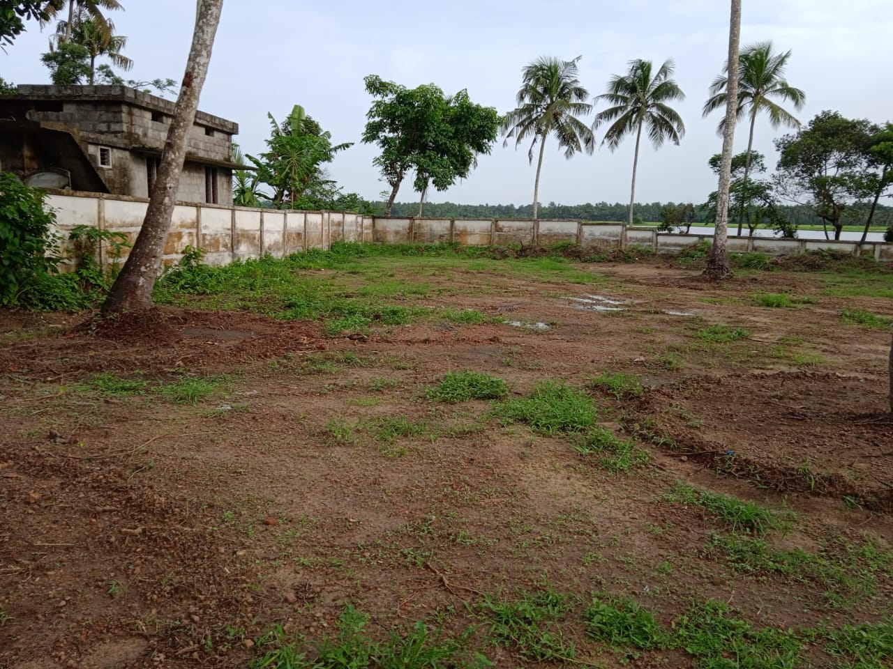 Irinjalakuda Edakulam 42 cent land 