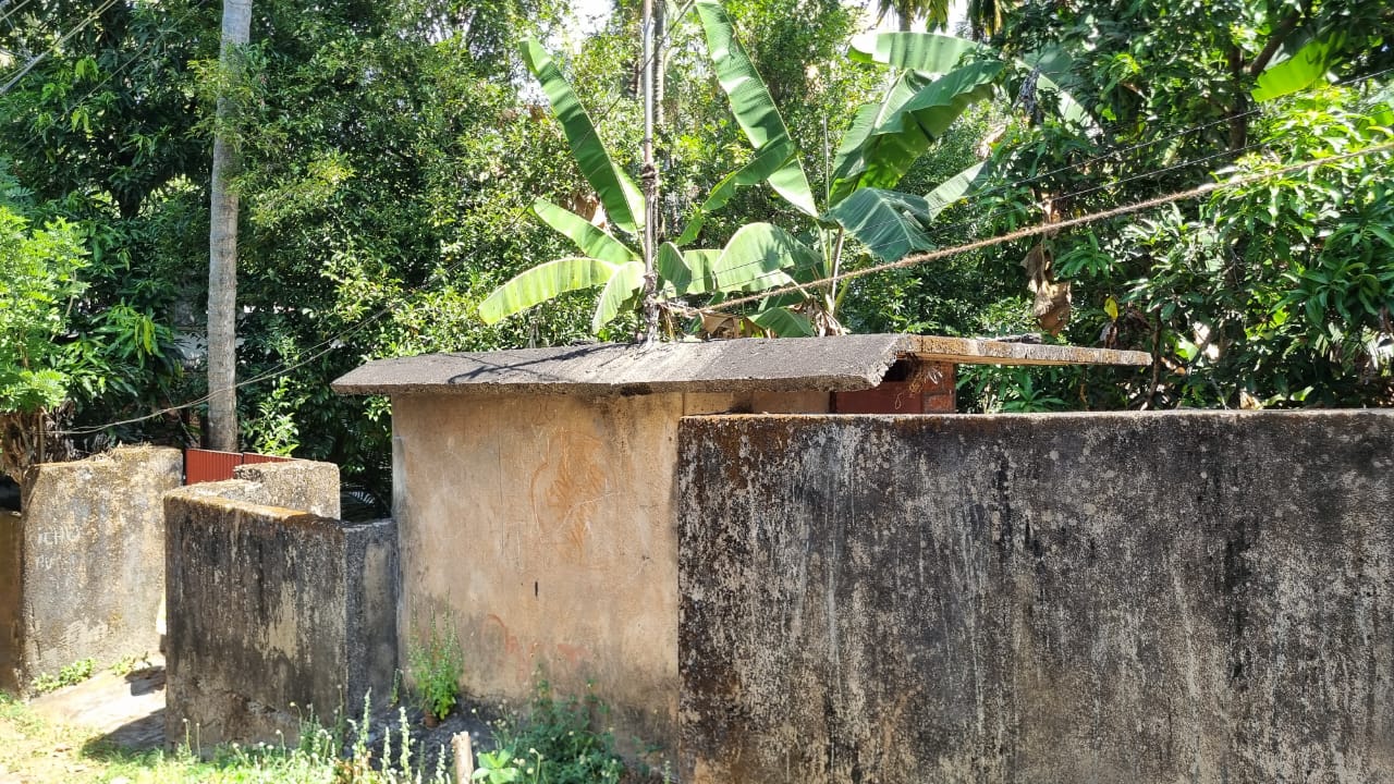 Small Image