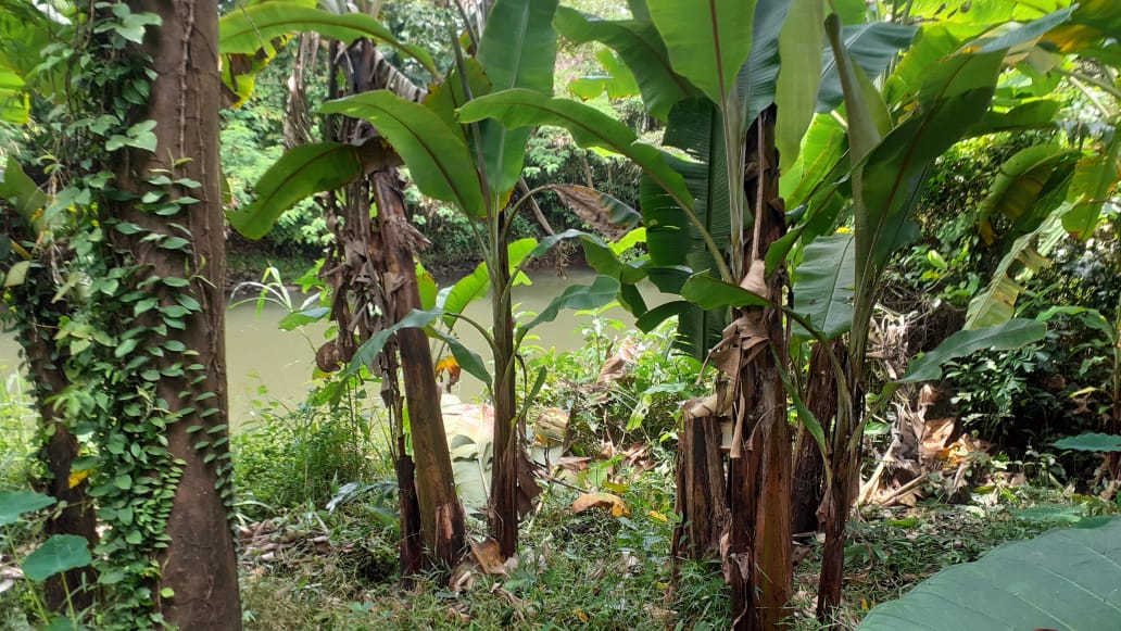 LAND FOR SALE | PUTHOOR