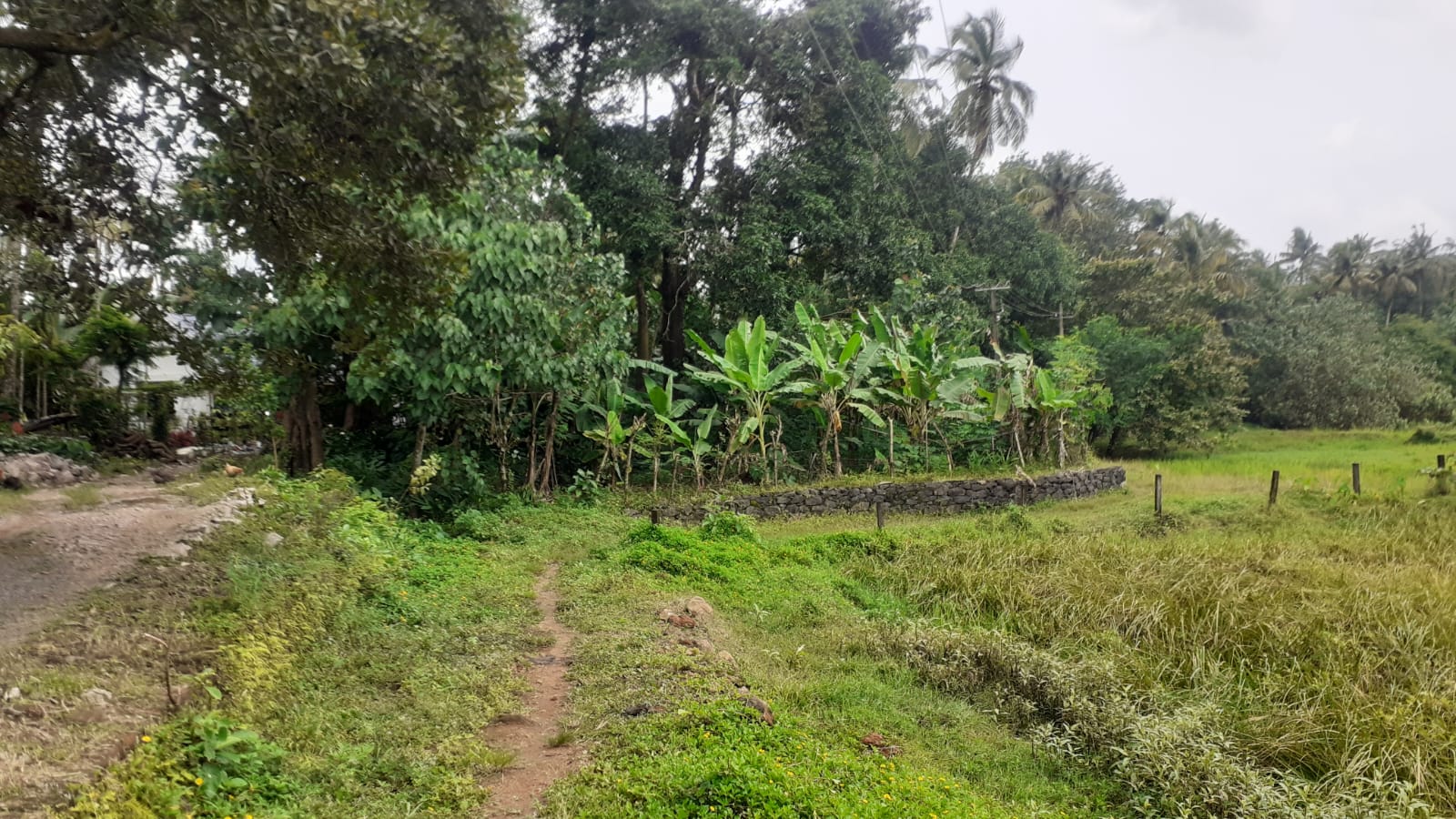 Small Image