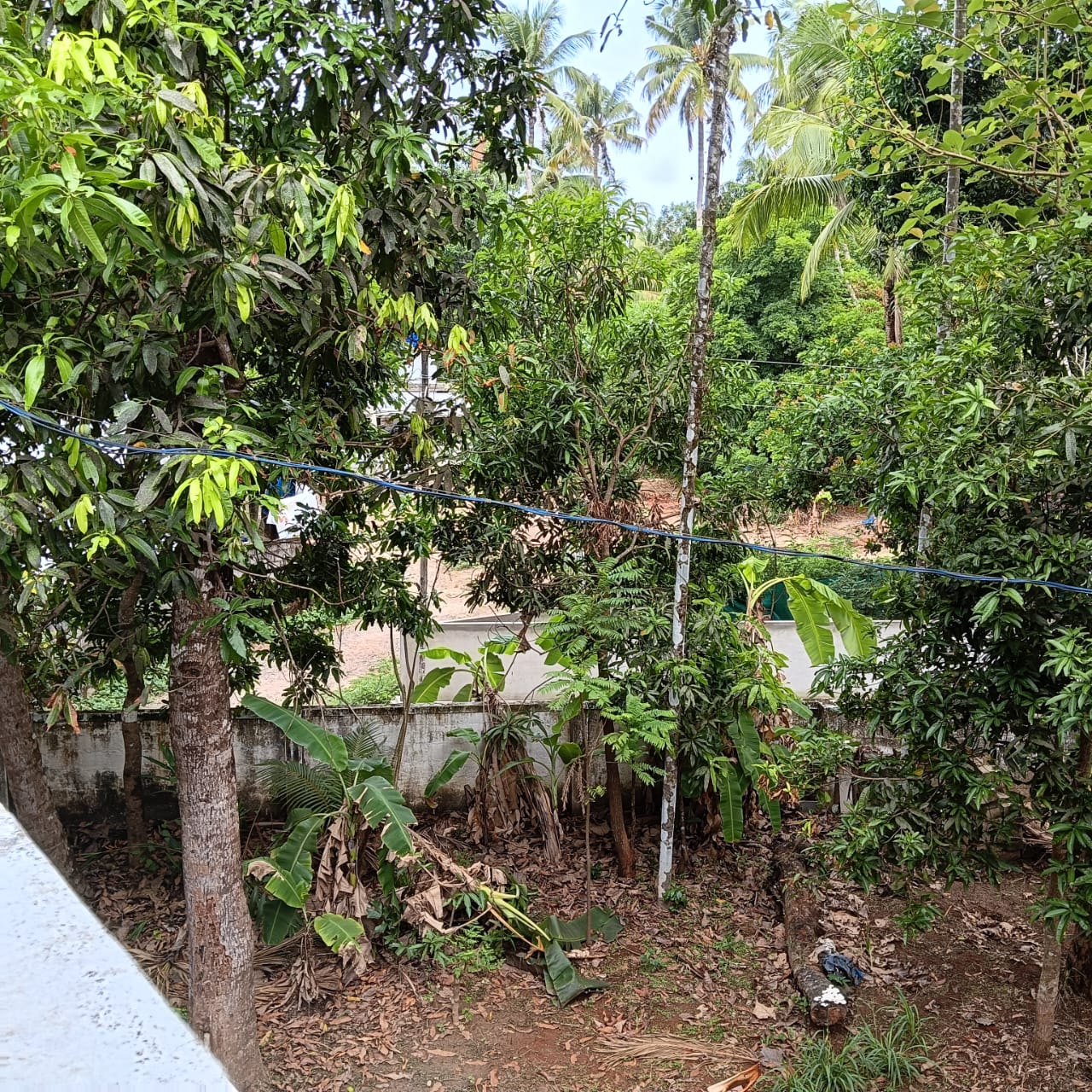 Small Image