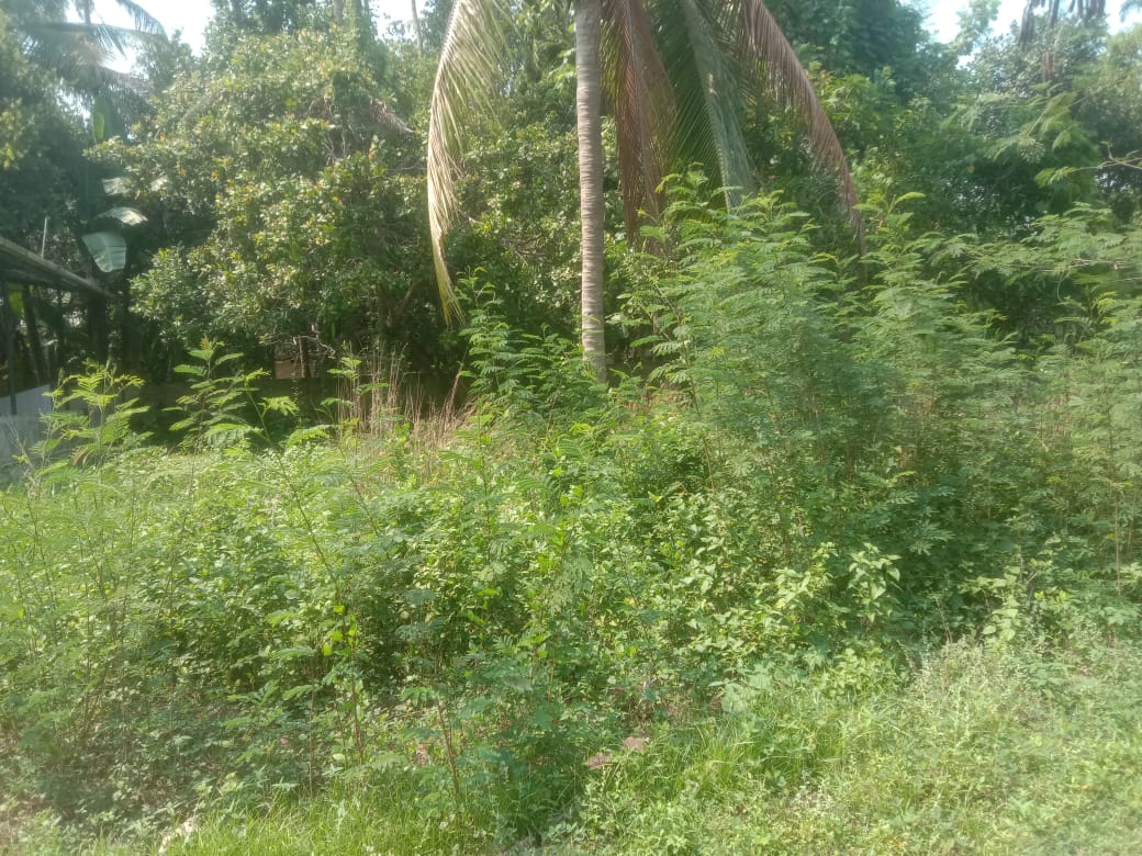 LAND FOR SALE | MAPRANAM