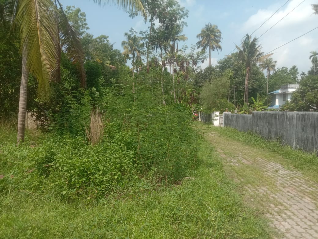 Small Image