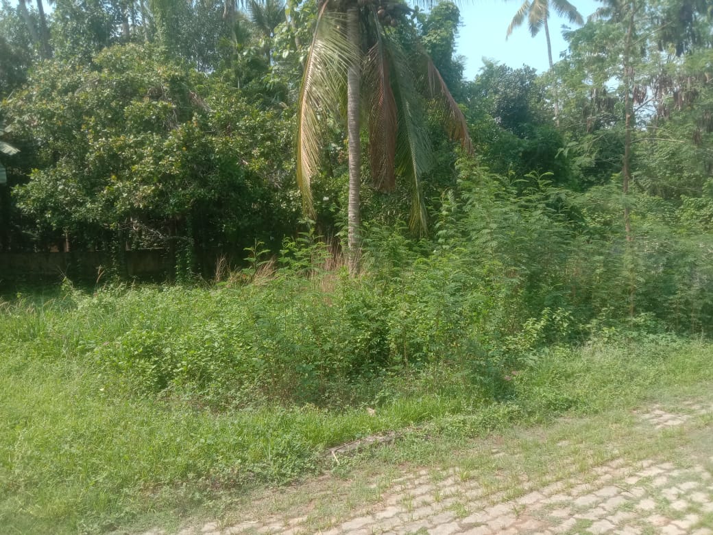 Small Image
