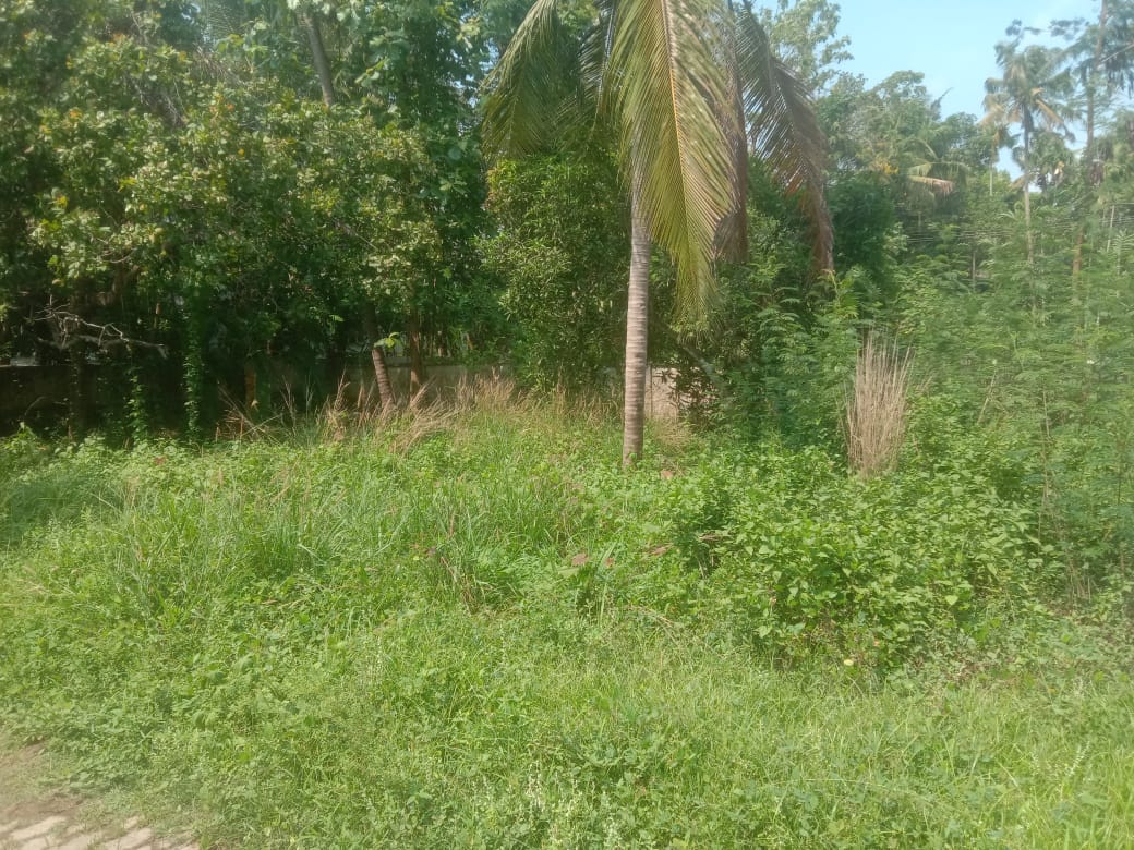 Small Image