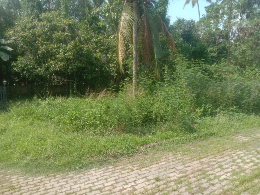 Small Image