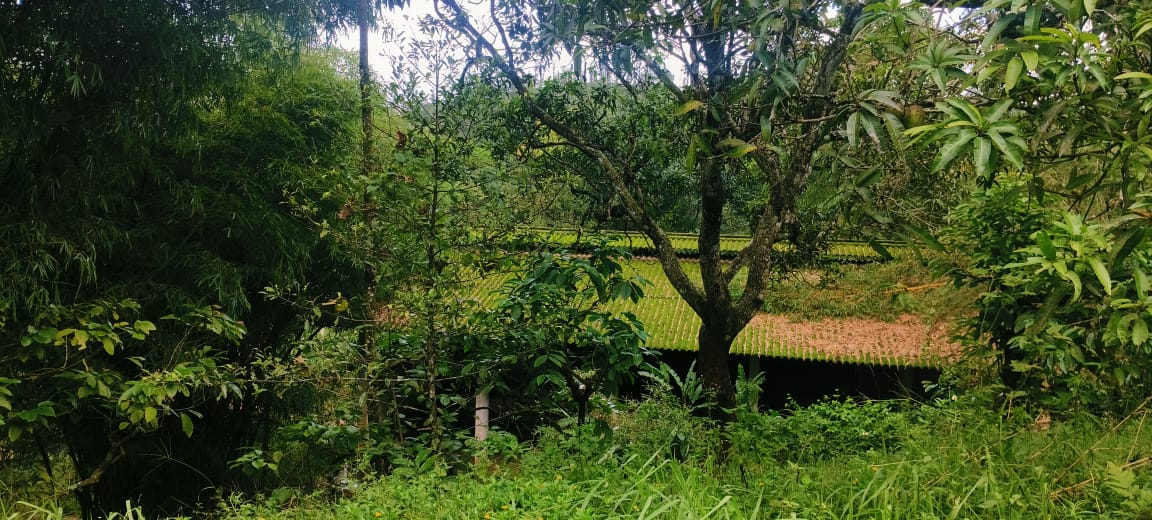Small Image