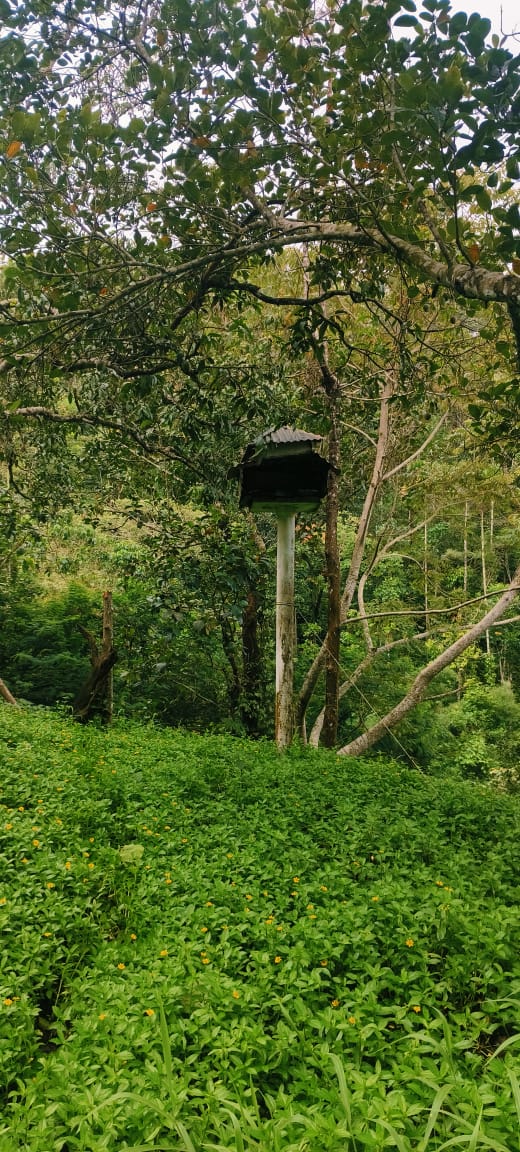 Small Image