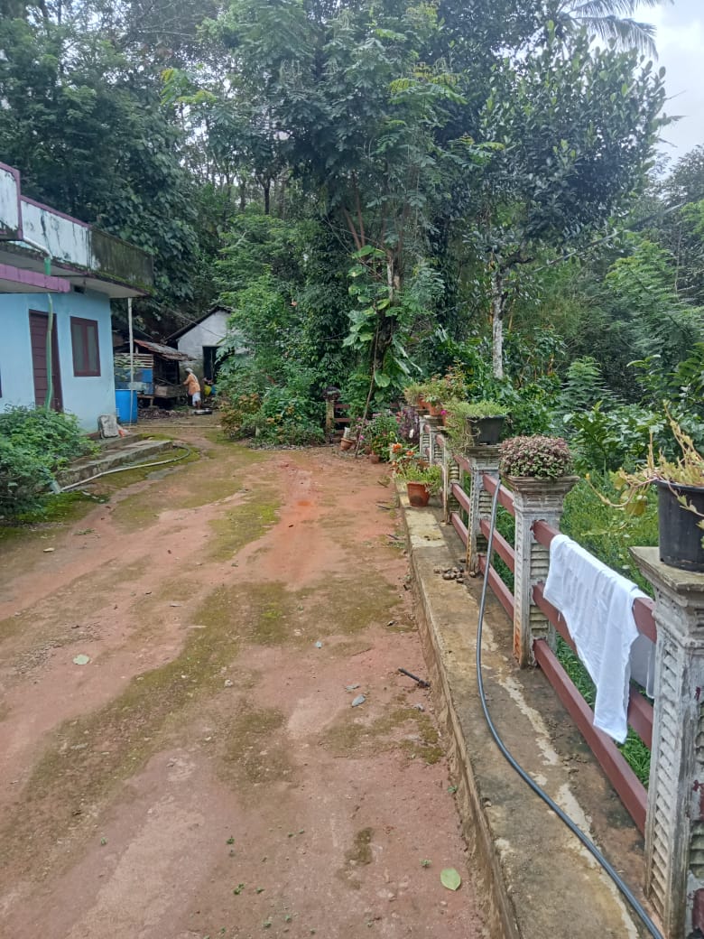 Small Image
