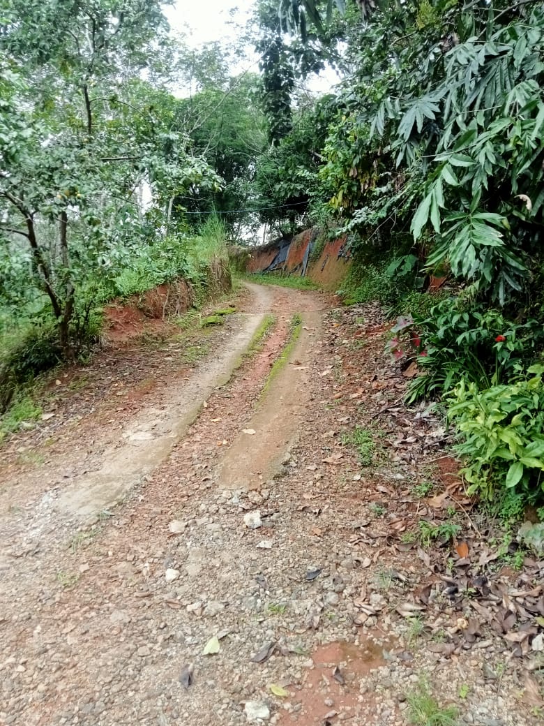 Small Image