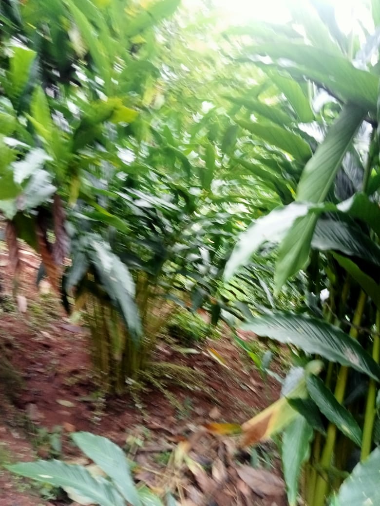 Small Image