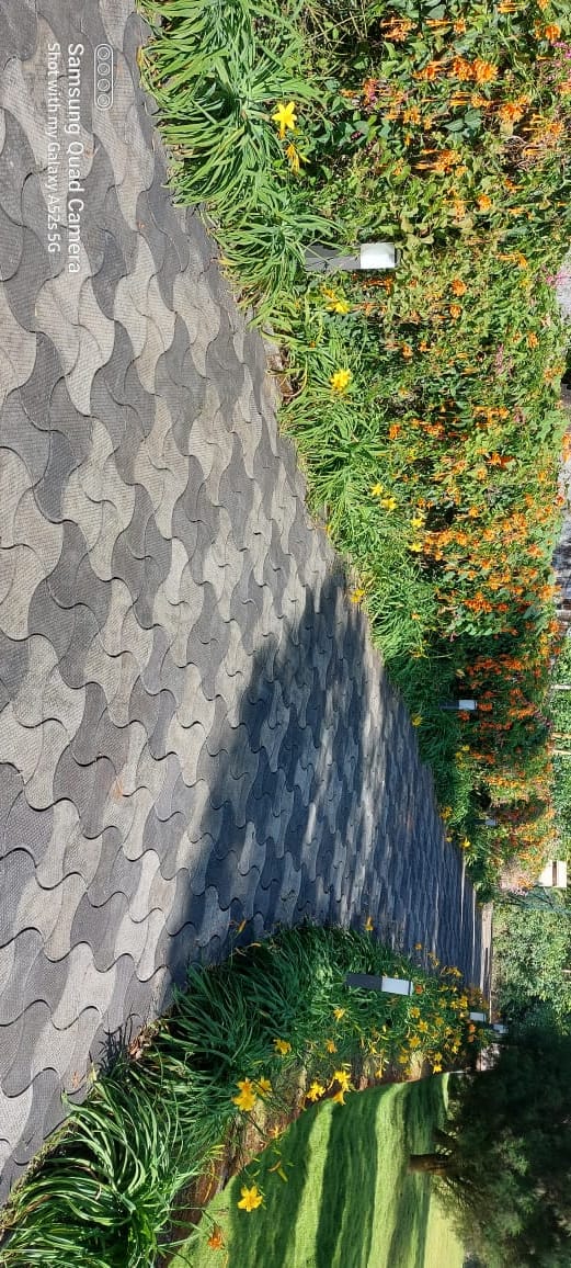 Small Image