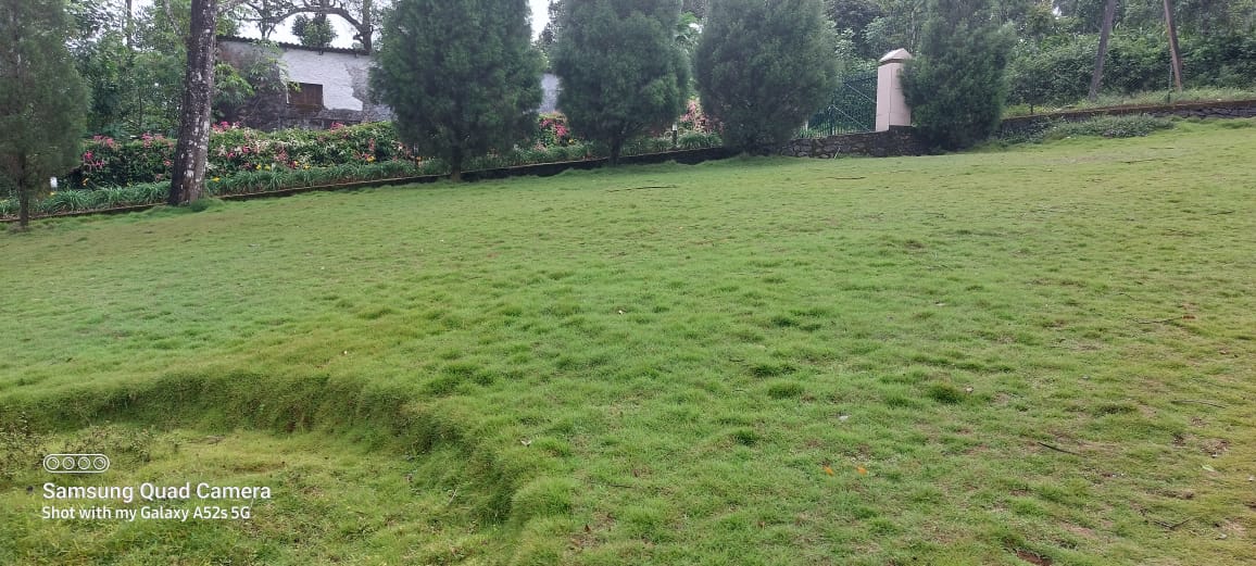 Small Image