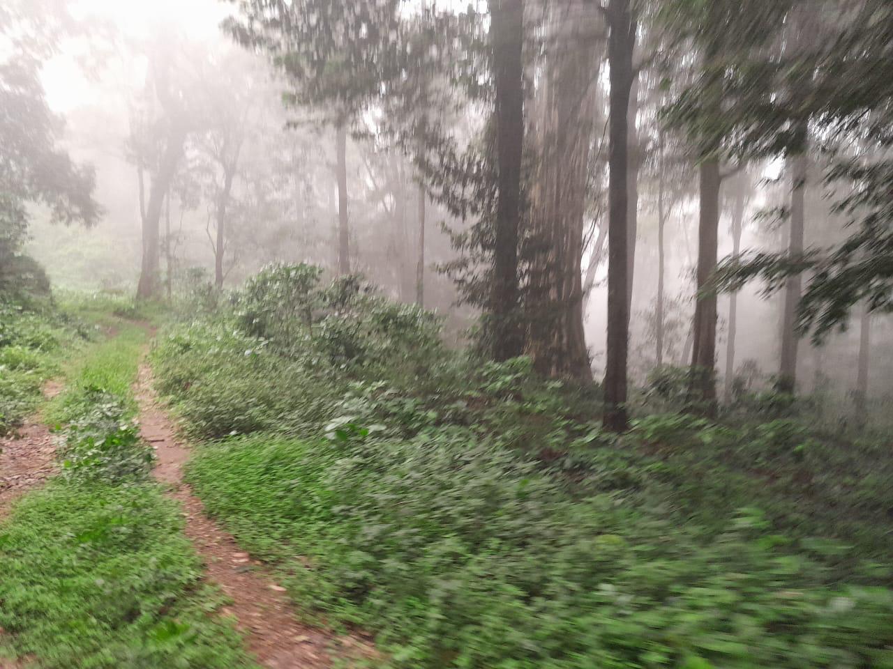 Small Image