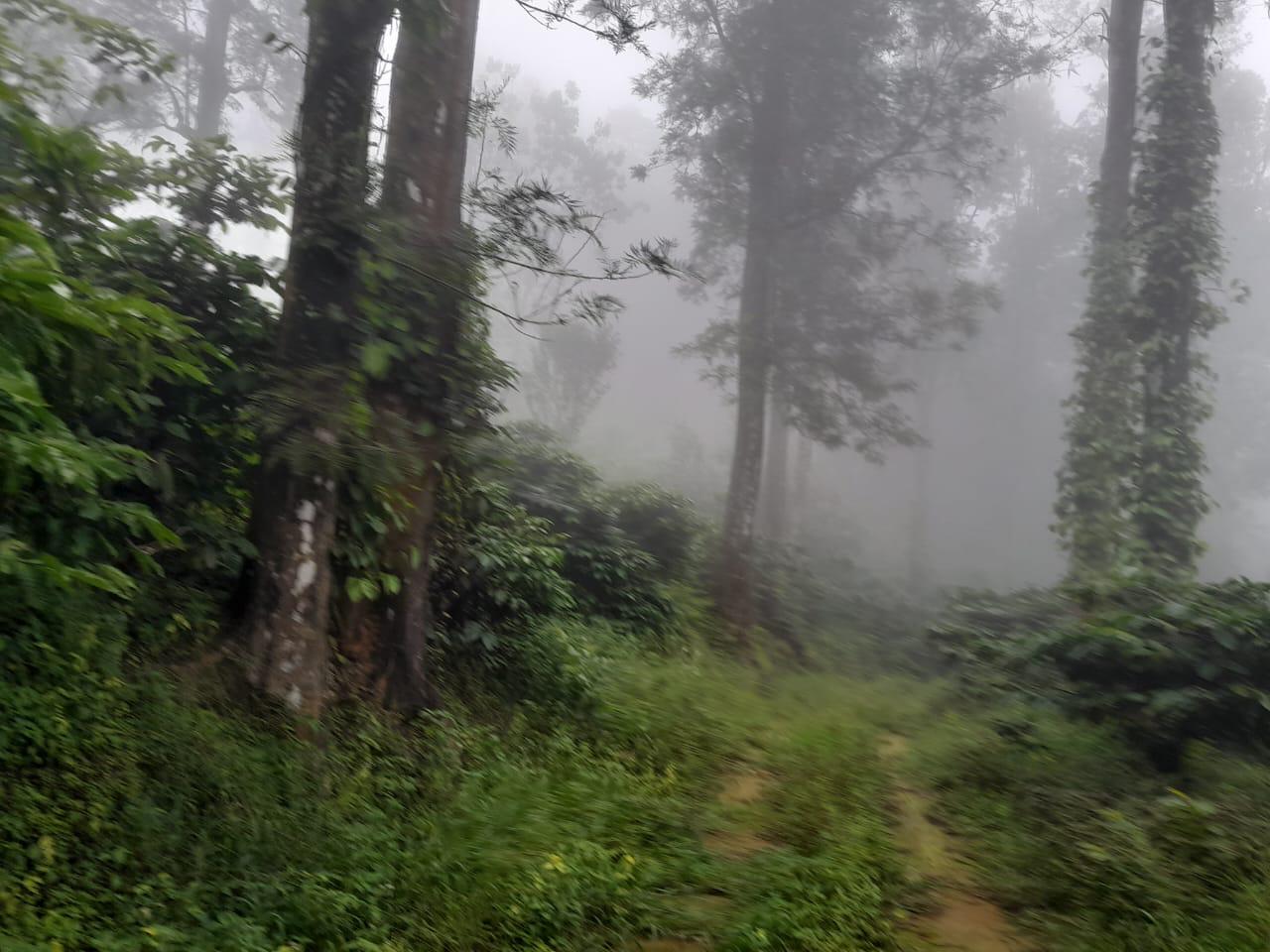 Small Image