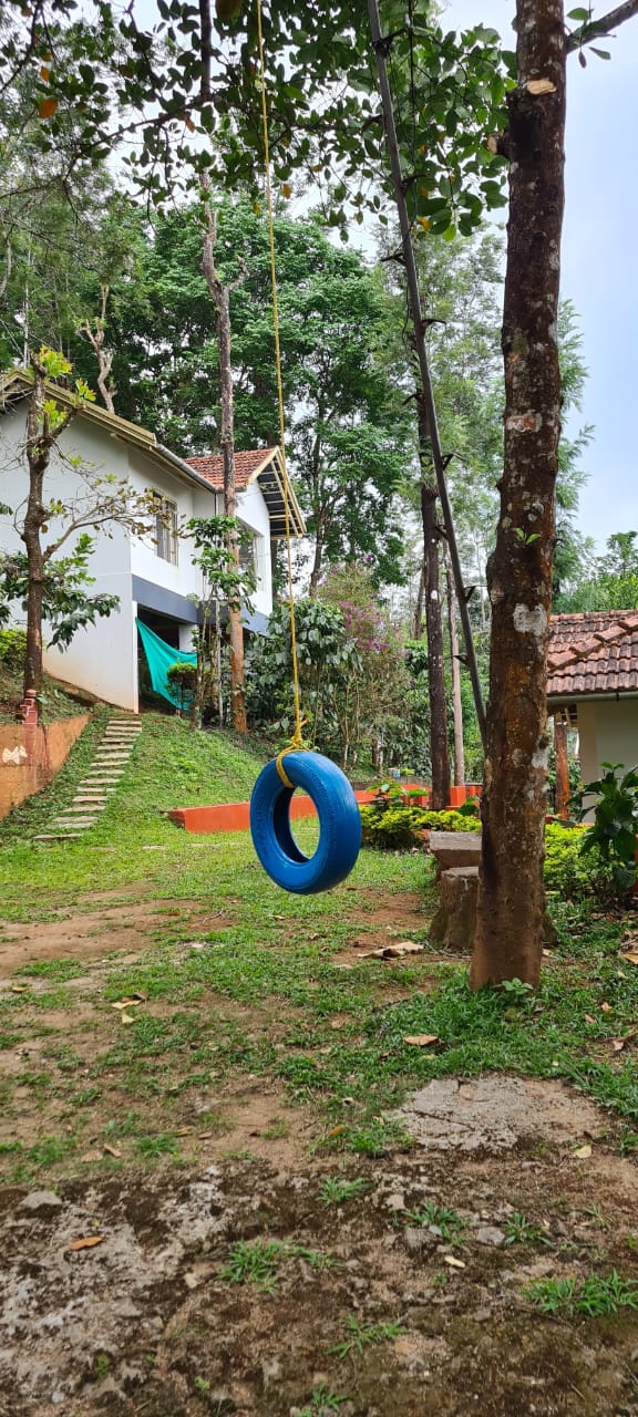 Small Image