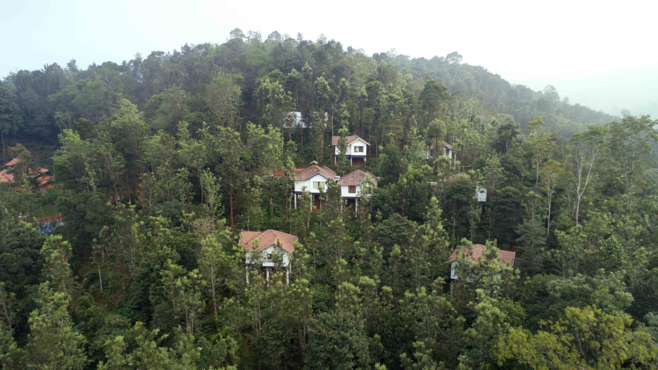Small Image