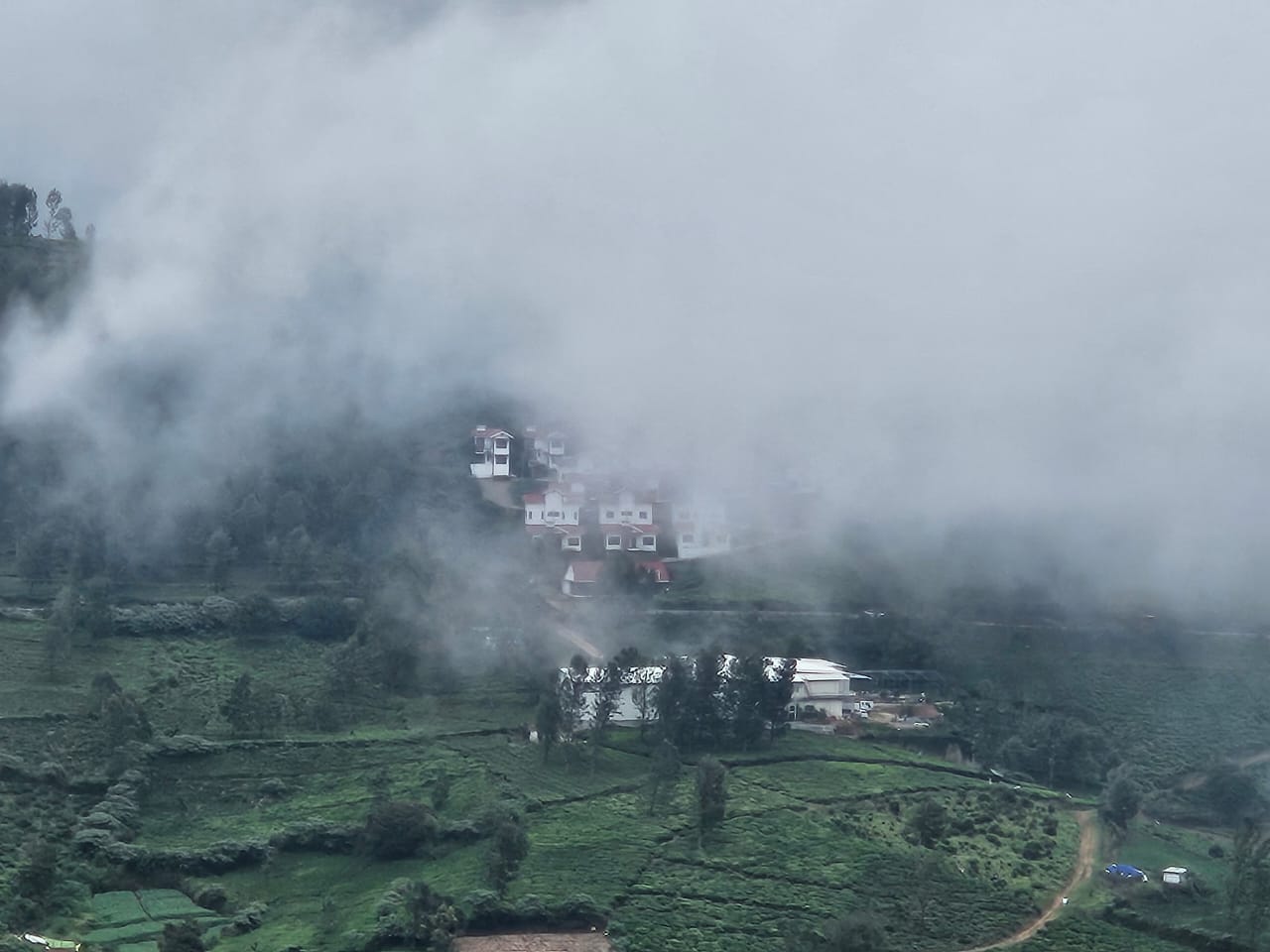 Small Image