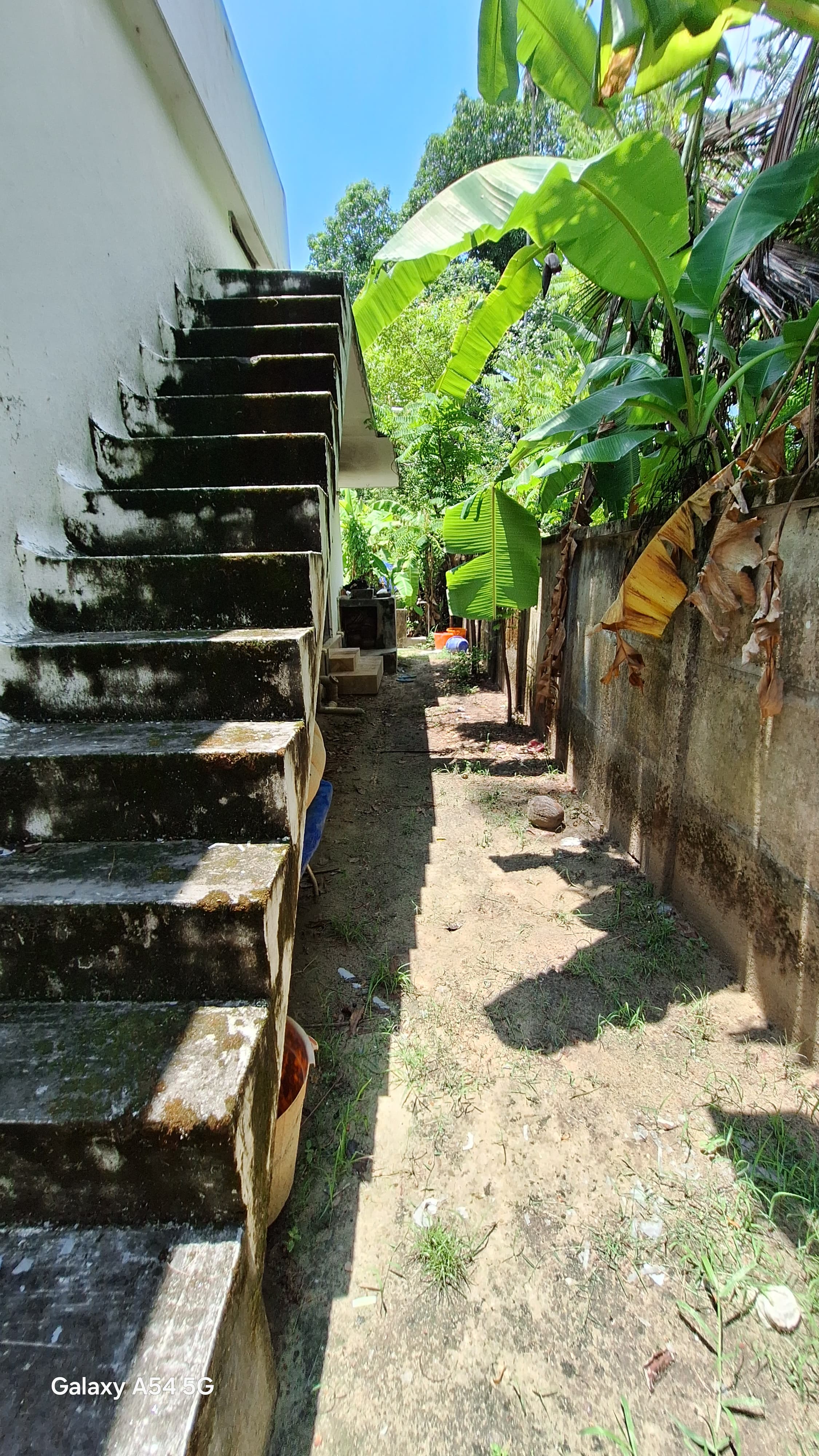 Small Image