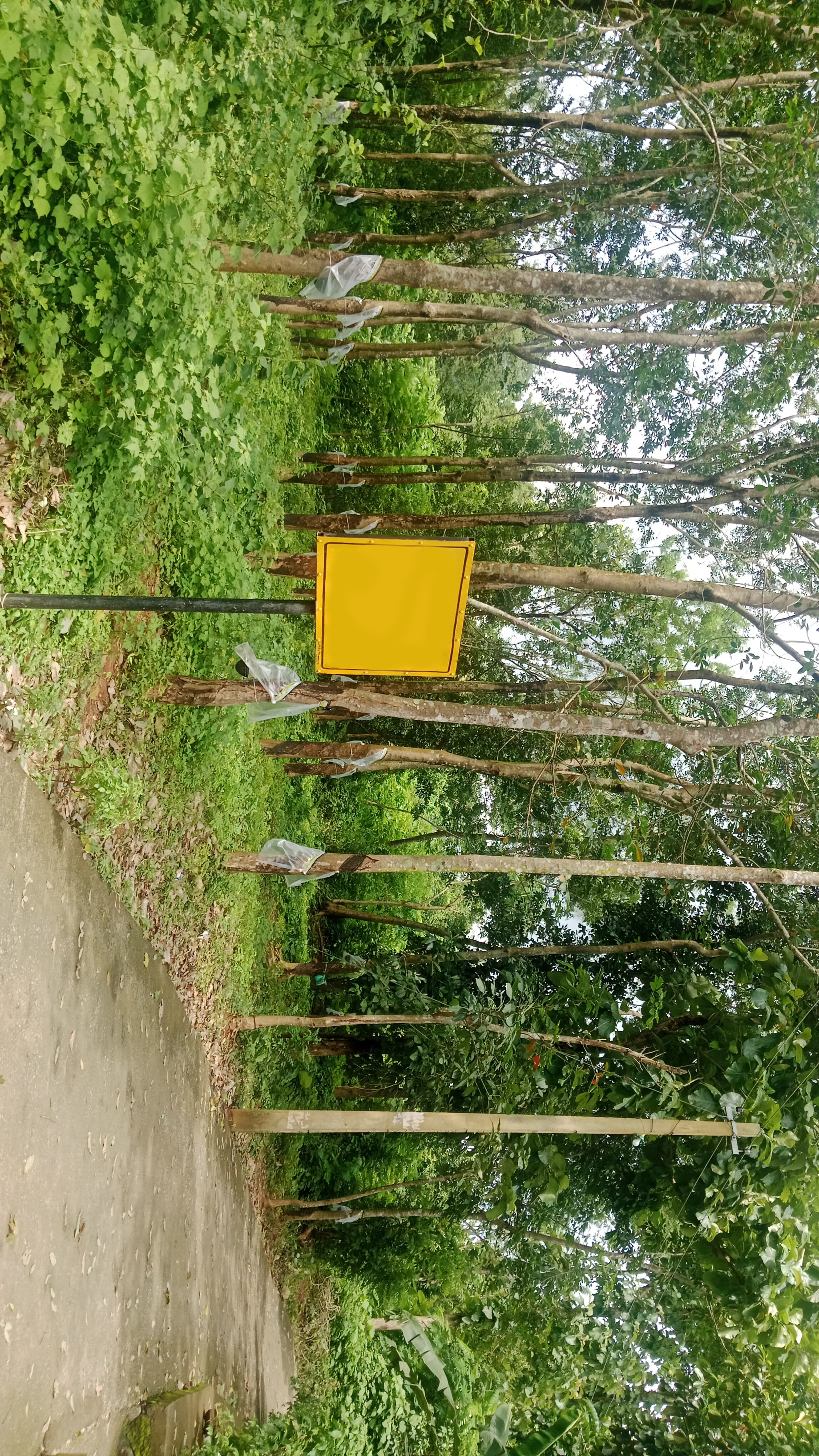 LAND FOR SALE | PLAZHI , CHUNKAM | 41 CENT
