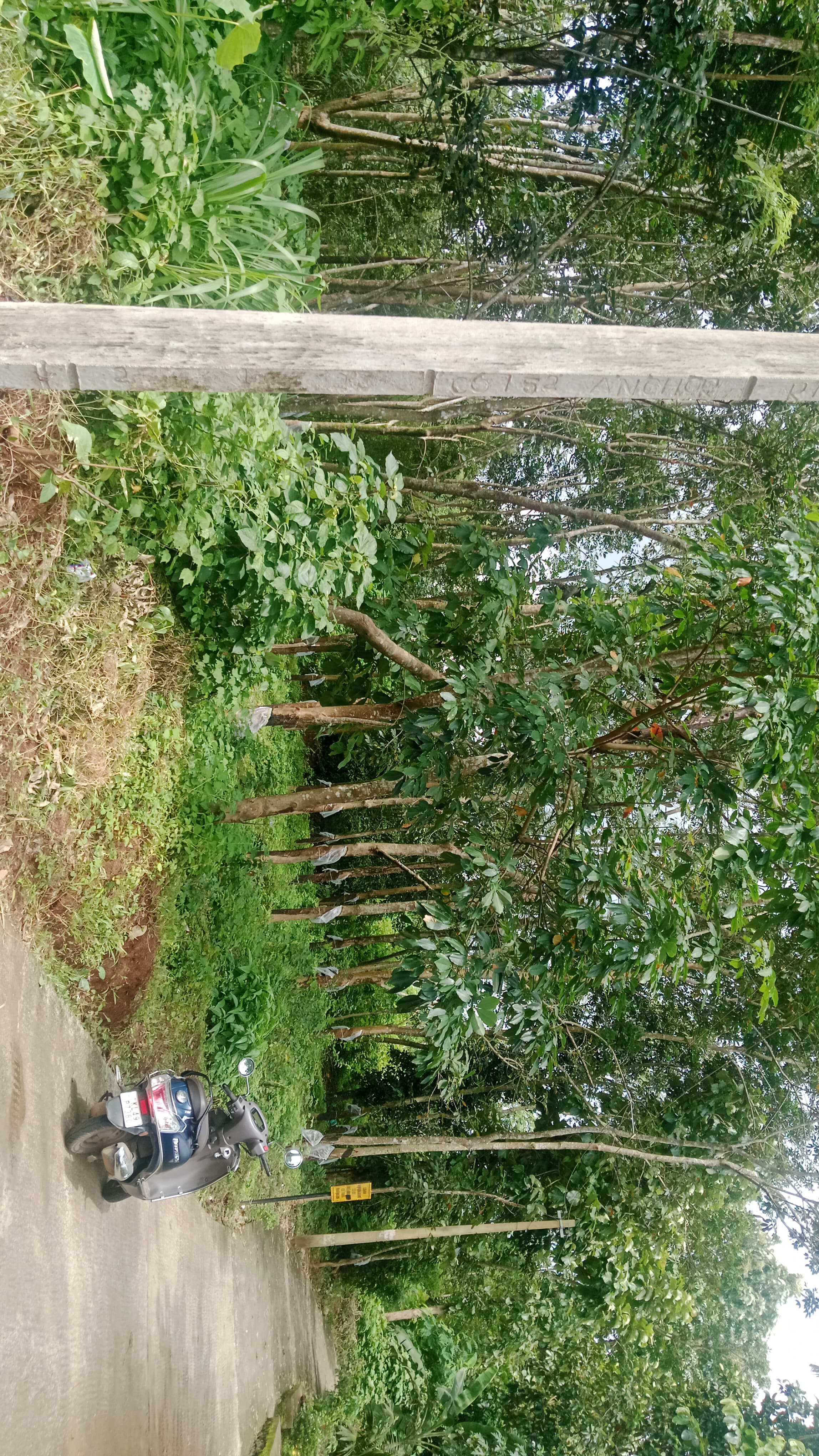 Small Image