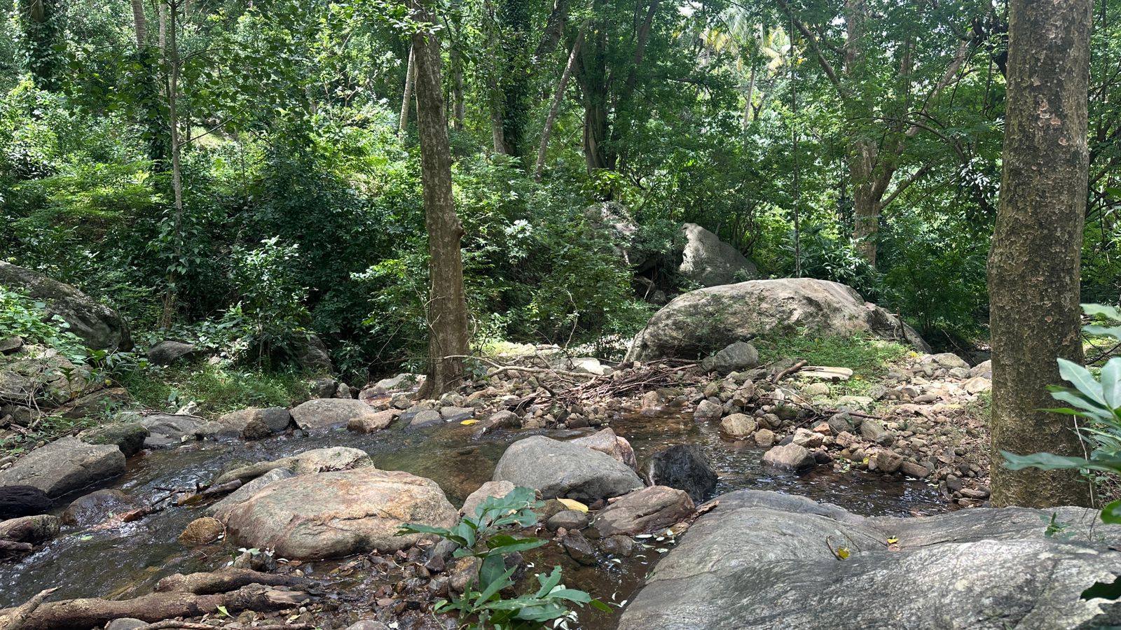 LAND FOR SALE | 35 ACRE | TAMILNADU CHENKOTTA 