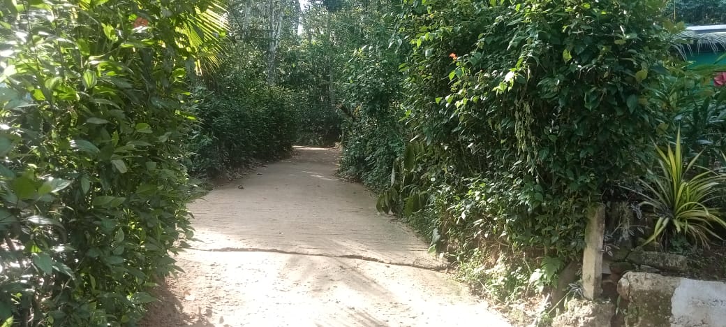 Small Image