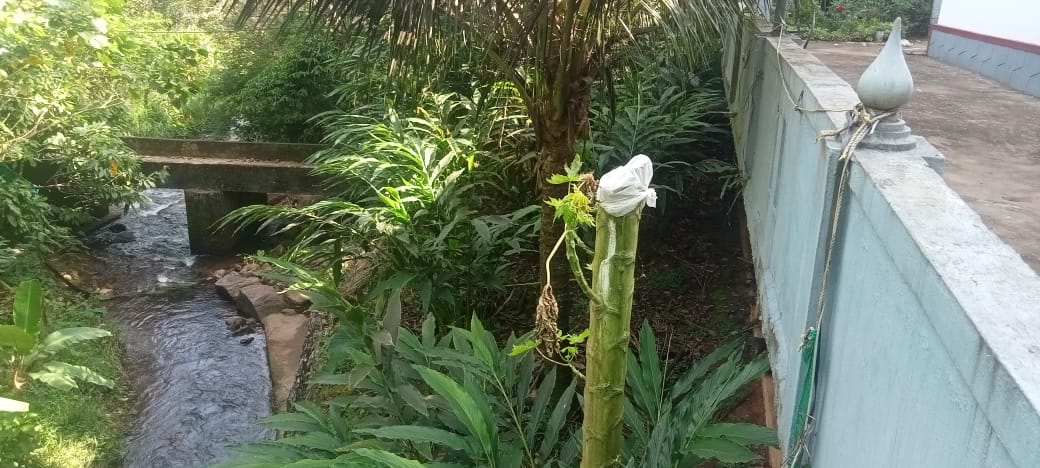 Small Image