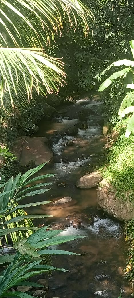 Small Image