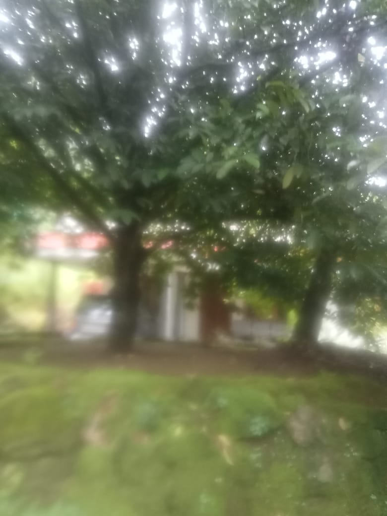 Small Image