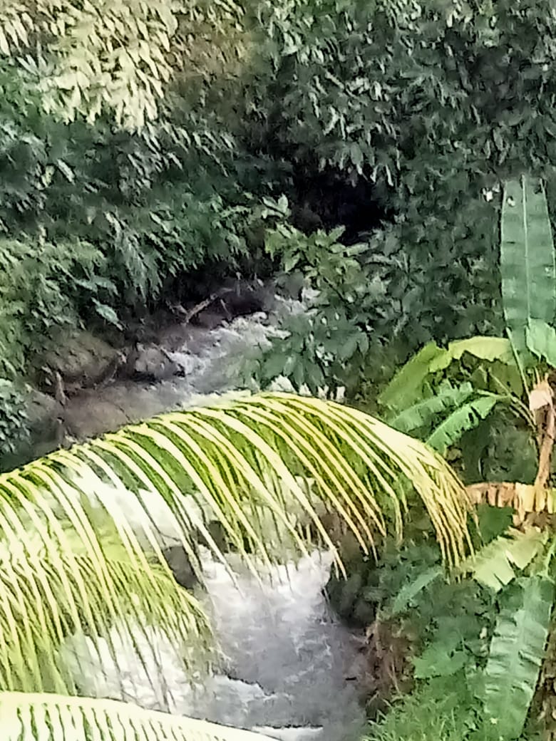 Small Image