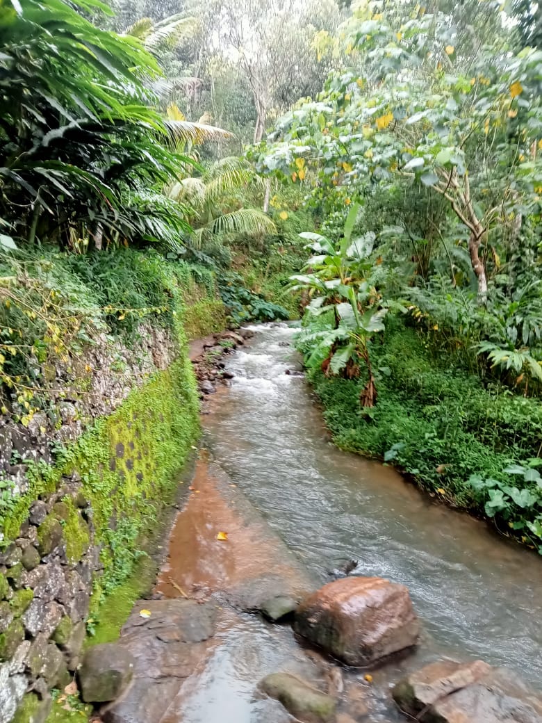 Small Image