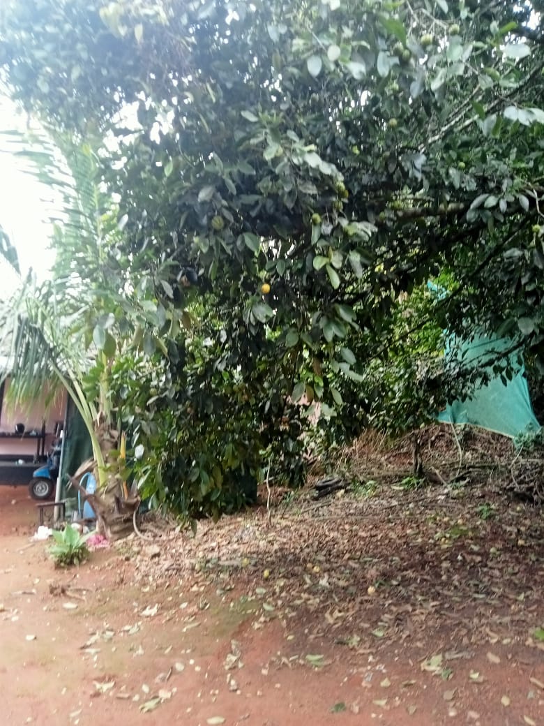Small Image