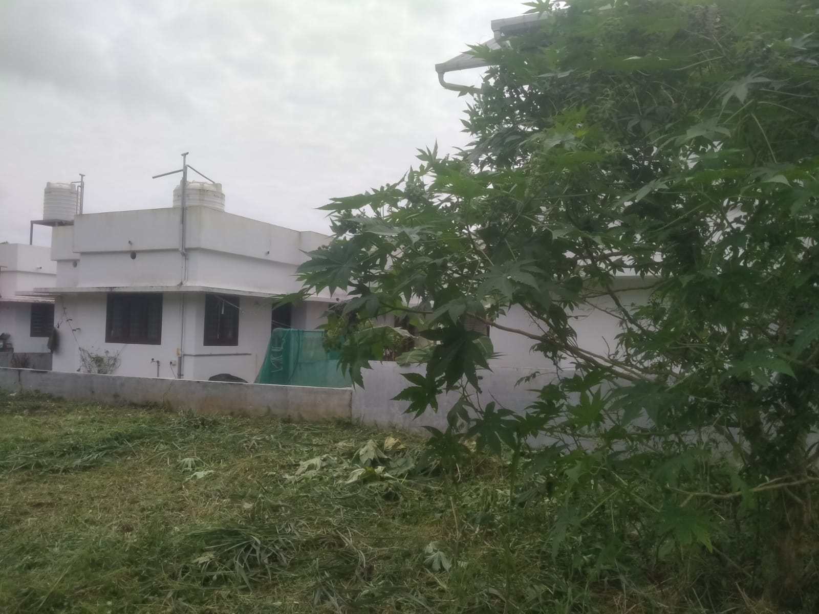 PALAKKAL | 10.400 CENT LAND FOR SALE | RESIDENTIAL AREA | SUFFICIENT WATER | 