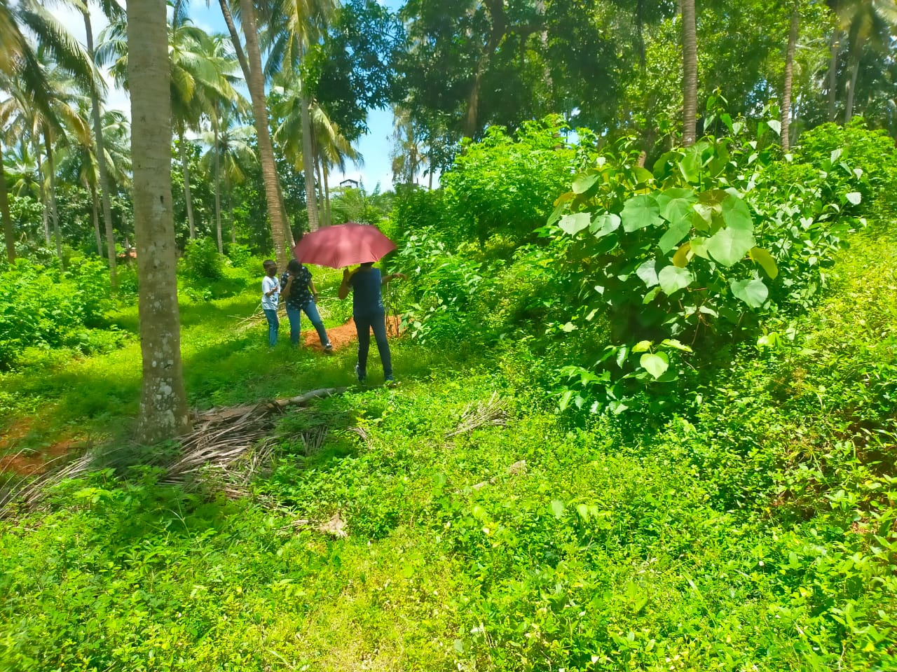 THRISSUR THIRUVILWAMALA | 7 ACRE LAND FOR SALE | 300 COCONUT TREES | SUFFICIENT WATER