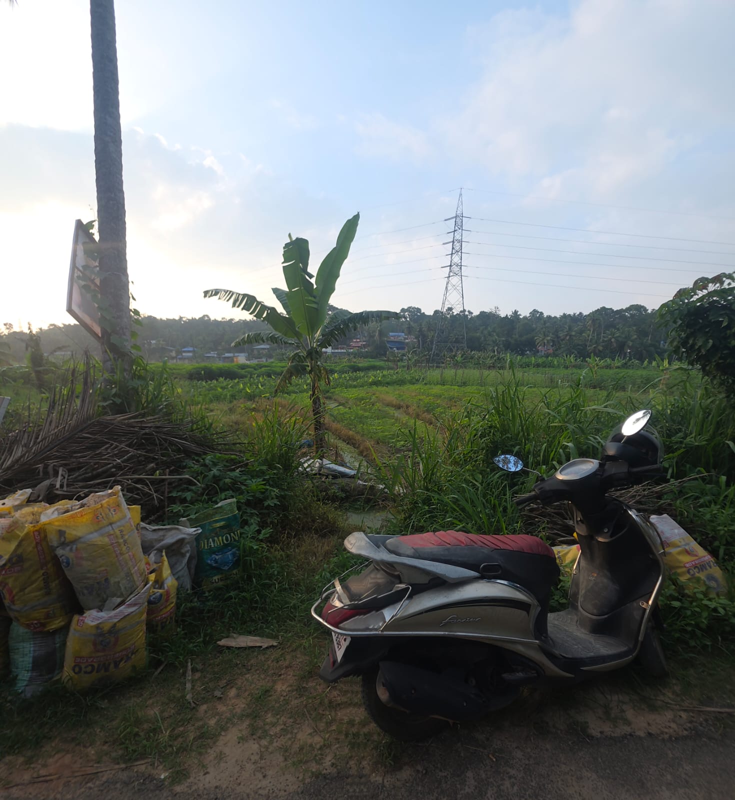 THRUVANANTHAPURAM VIZHINJAM PORT NEAR | LAND FOR SALE | 12.5 CENT | MAIN ROAD 100 MTR |