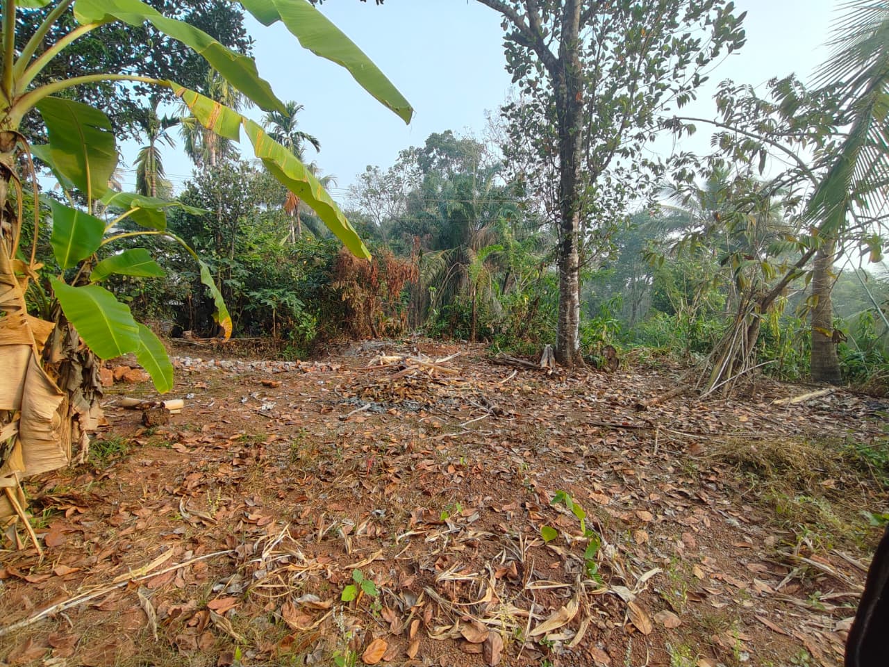 MALA KODUNGALLUR ROUTE KUPPAN BAZZAR BUS STOP | LAND FOR SALE | 8 CENT | LOW BUDGET