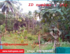 Housing Plot Mundathikode,Thrissur