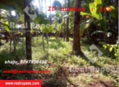 Housing Plot Kadalassery,Thrissur