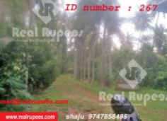 Housing Plot Poomala, Thrissur