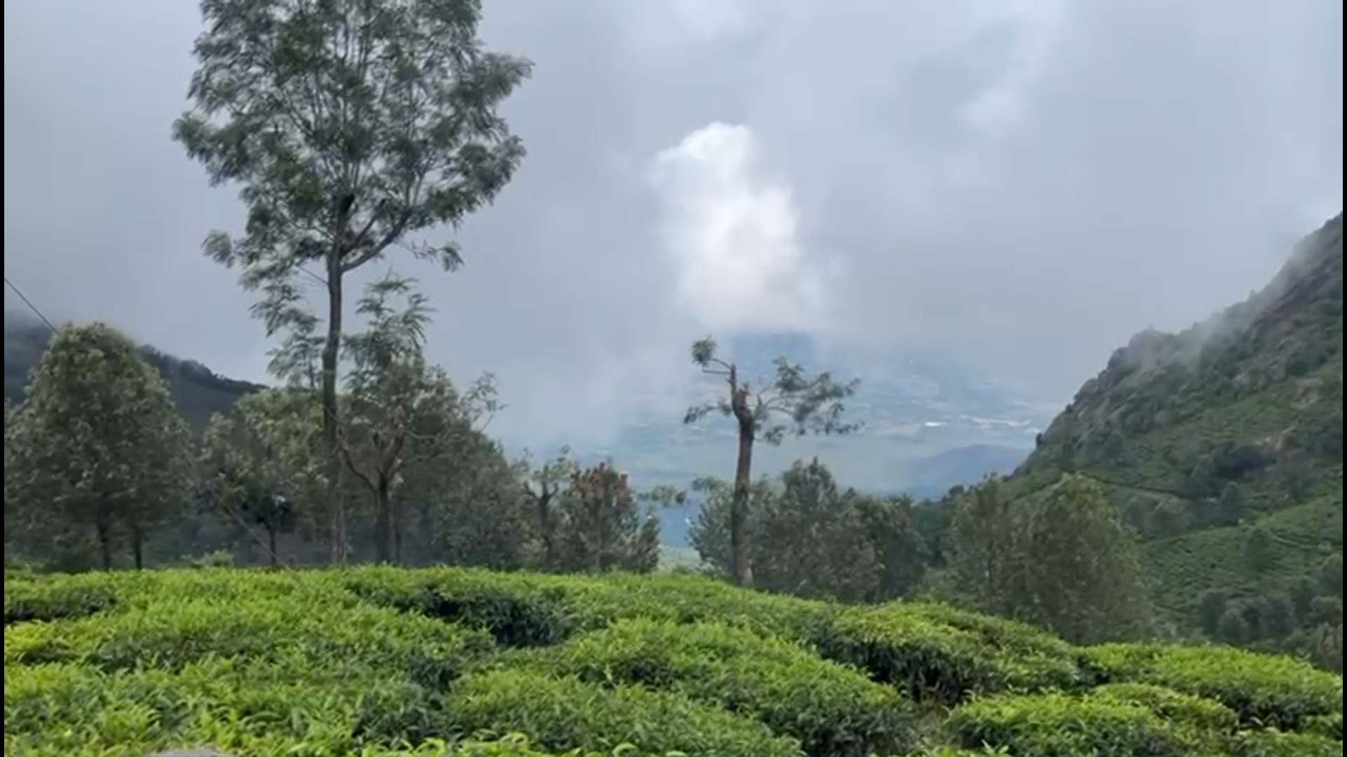 TAMIL NADU METTUPALAYAM | LAND FOR SALE | 700 ACRE LAND | REAL ESTATE |