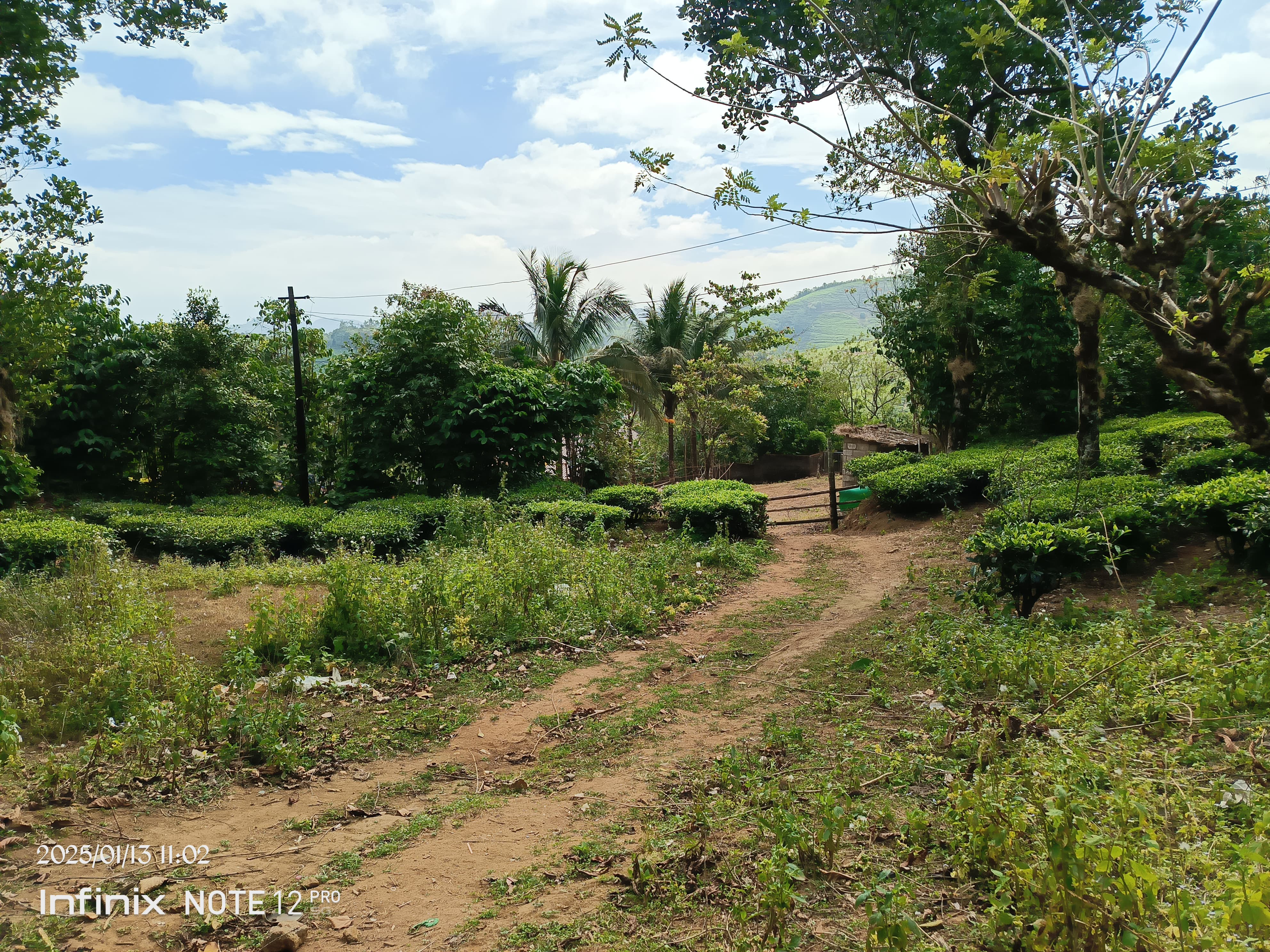 VAGAMON | PULLIKKANAM | LAND FOR SALE 