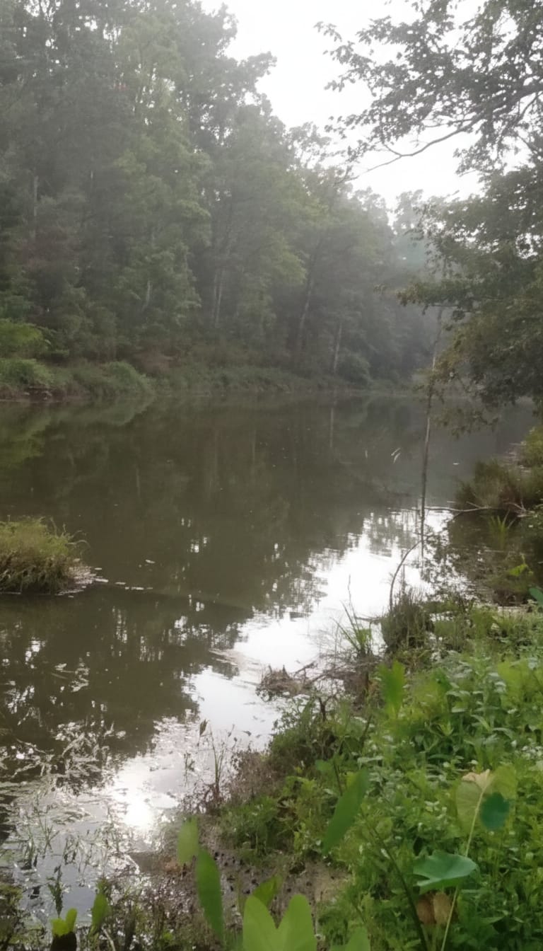 420 Acre cardamom Estate