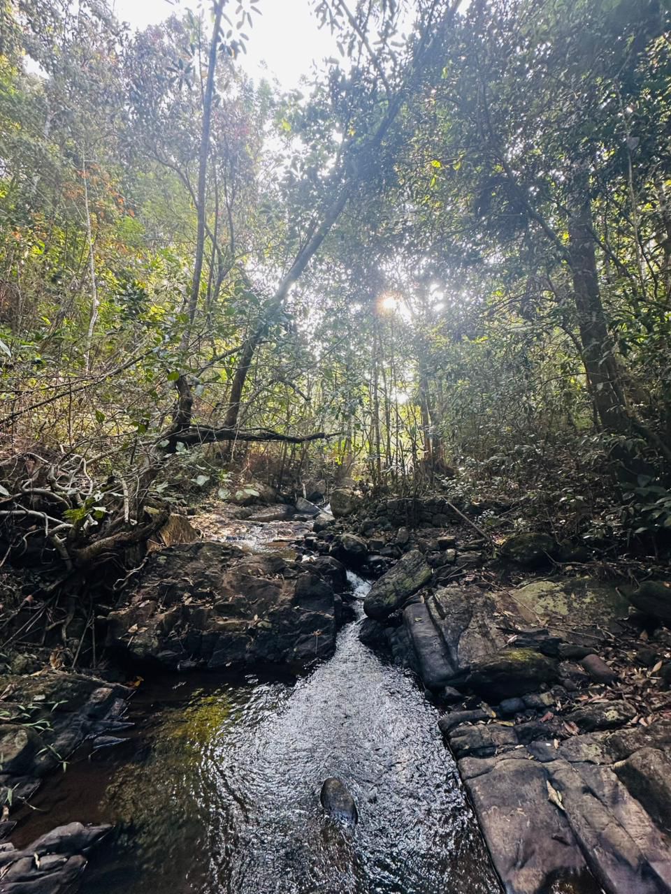 VAGAMON | LAND AND HOUSE FOR SALE | 5.88 ACRE LAND | SMALL RIVER | ELECTRICITY AVAILABLE | ROAD |