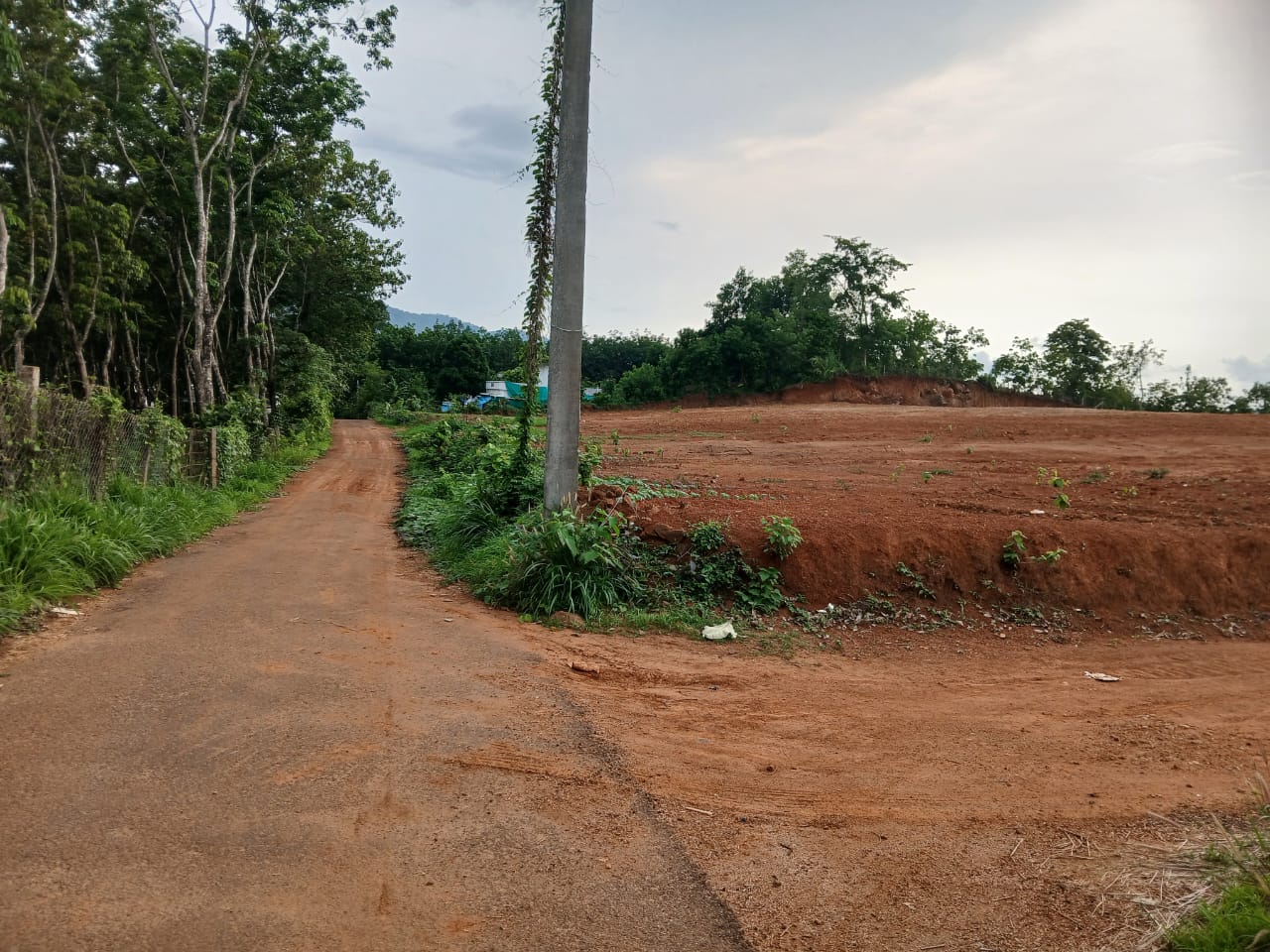 ELANADU | LAND FOR SALE | 3 ACRE LAND | BUS ROUTE 300 MTR | ELANADU TOWN 1 KM ONLY