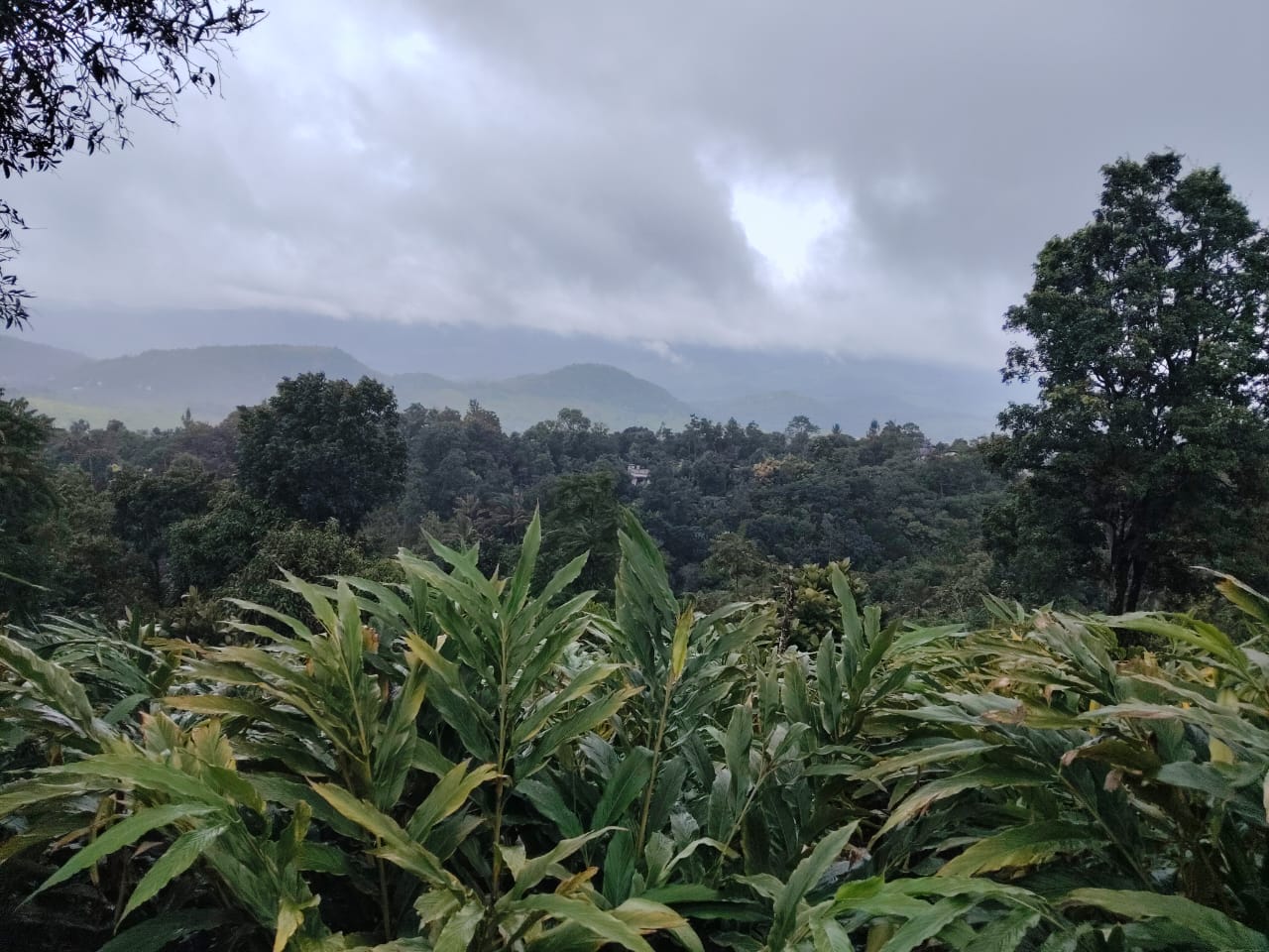 VAGAMON - 11 KM | LAND FOR SALE | 4 ACRE | POND, SMALL RIVER | ROAD FACILITIES