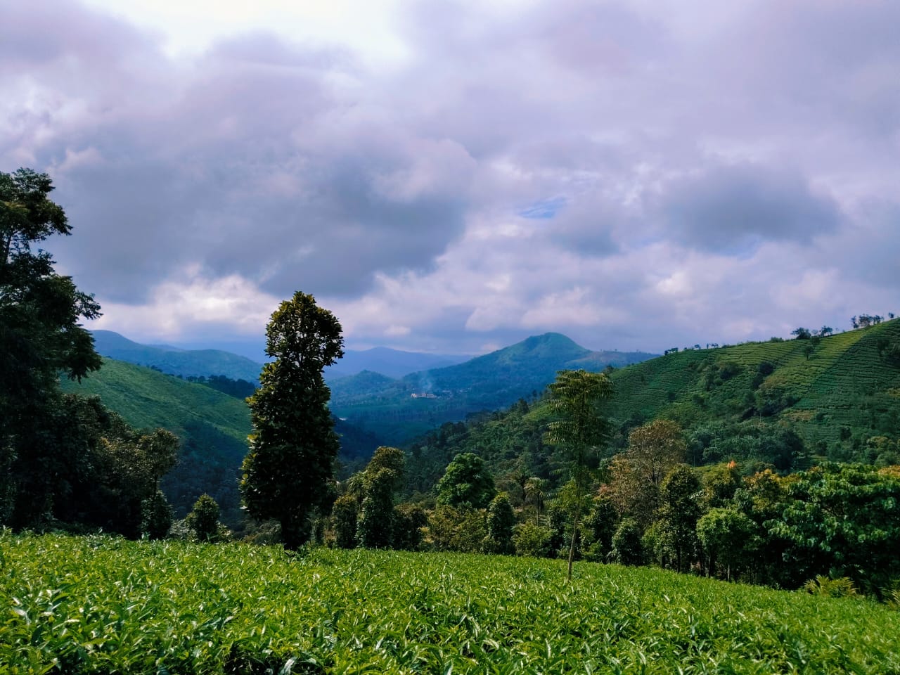 vagamon land for sale | 94 cent 