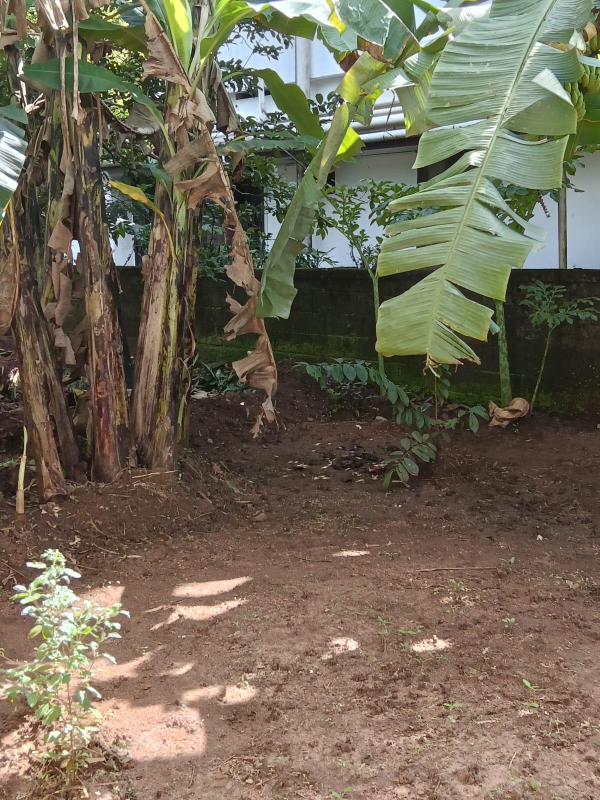 KANIMANGALAM THRISSUR | OLD HOUSE AND 7 CENT LAND FOR SALE | ALL FACILITIES NEAR |